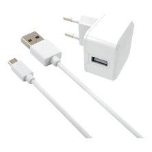 USB wall charger for micro USB device